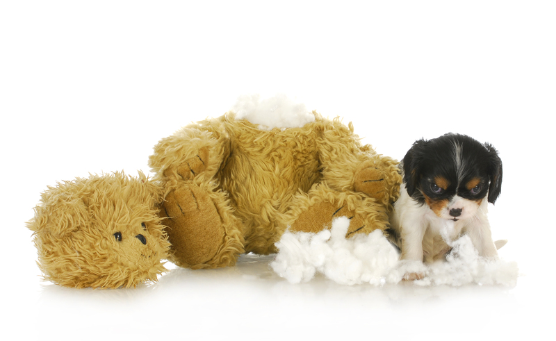 From Beginnings to Ends: Hard Rubbish and Disposal Roles